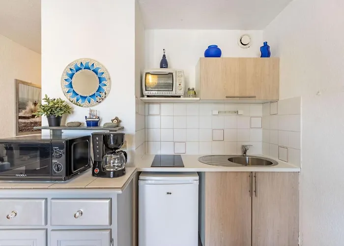 Les Roches Bleues-1 By Interhome * Collioure
